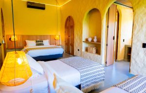 PHOTO-2026-03-02-16-59-18 2