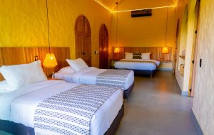 PHOTO-2026-03-02-16-59-18 3