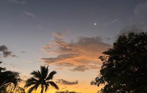 PHOTO-2026-04-16-11-56-08 4