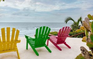 WhatsApp Image 2026-01-16 at 11.52.16 AM (2)