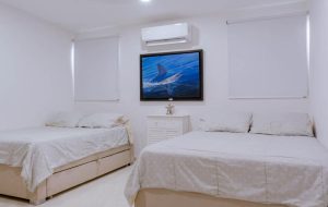 WhatsApp Image 2026-01-16 at 11.52.18 AM