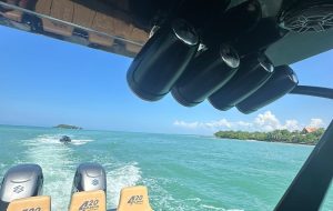 WhatsApp Image 2026-01-27 at 3.40.32 PM (1)