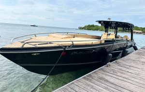 WhatsApp Image 2026-01-27 at 3.40.34 PM (1)