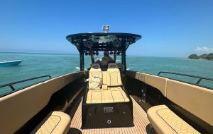 WhatsApp Image 2026-01-27 at 3.40.34 PM