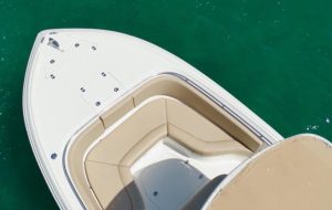 boraina6