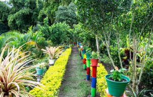 finca isabella4