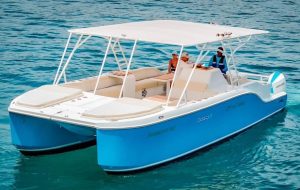 suncat1