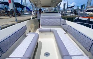troncoebote3