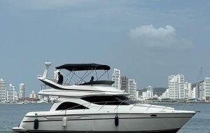 yate maxum43 1